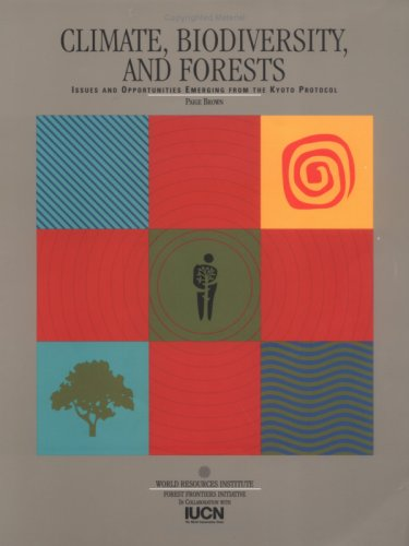 Climate, biodiversity and forests : issues and opportunies emerging from the Kyoto protocol.