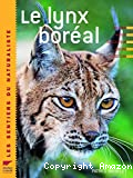Le lynx boréal