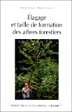 Elagage et taille de formation des arbres forestiers