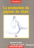La production du pigeon de chair