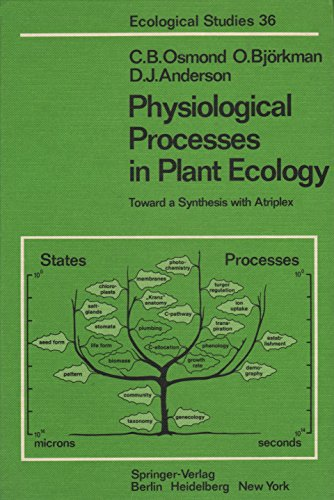 Physiological processes in plant ecology