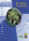Le mildiou du tournesol