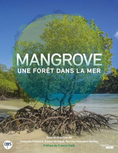 Mangrove