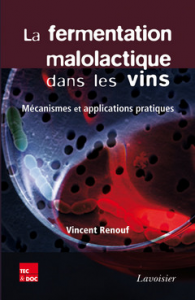 La fermentation malolactique dans les vins