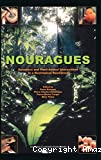 Nouragues :dynamics & plant-animal inter actions in a neotropical rainforest.