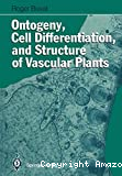 Ontogeny, cell differenciation, and structure of vascular plants