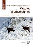 ongulés et lagomorphes