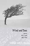 Wind and trees.