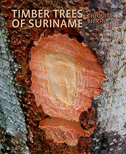Timber trees of Suriname
