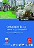 Contamination des sols
