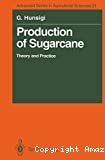 Production of sugarcane