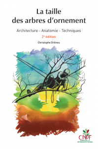 La taille des arbres d'ornement