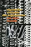 Organisation vasculaire des angiospermes