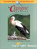 La cigogne blanche