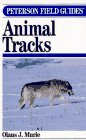 Animal tracks