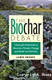 The biochar debate