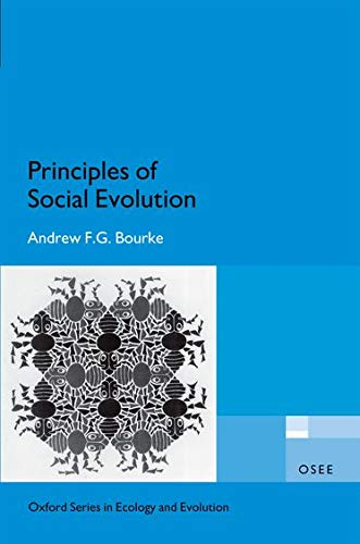 Principles of social evolution