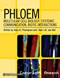 Phoem