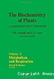 Metabolism and respiration