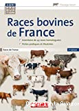 Races bovines de France