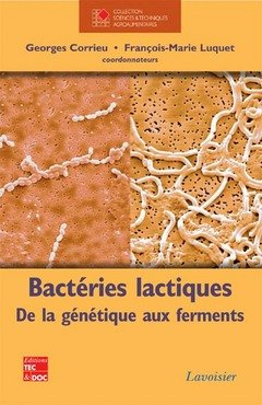 Bactéries lactiques