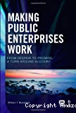 Making public enterprises work