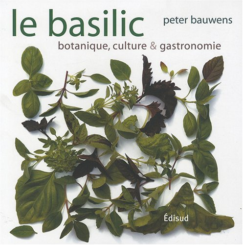 Le basilic