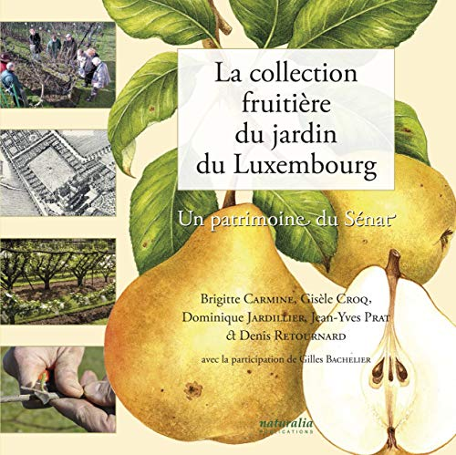 La collection fruitière du jardin du Luxembourg
