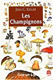 Les champignons