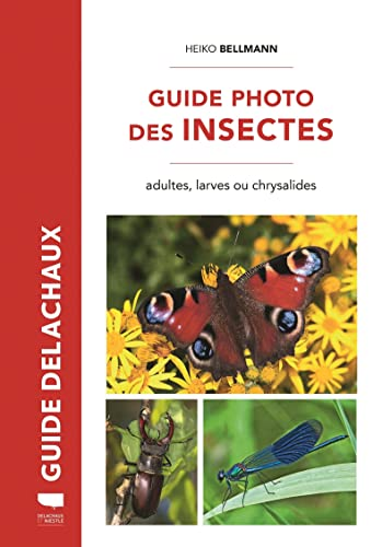 Guide photo des insectes