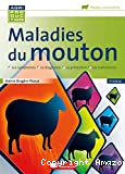 Maladies du mouton
