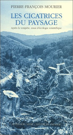 Les cicatrices du paysage