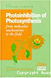 Photoinhibition of photosynthesis