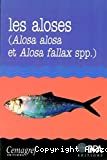 Les aloses (Alosa alosa et Alosa fallax spp.)