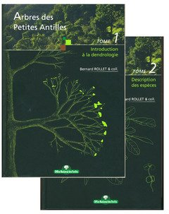 Introduction à la dendrologie