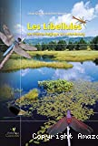 Les libellules de France, Belgique et Luxembourg