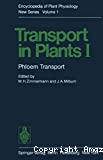 Phloem transport