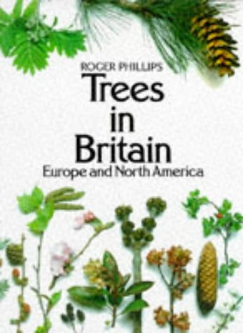 Trees in Britain, Europe and North America.