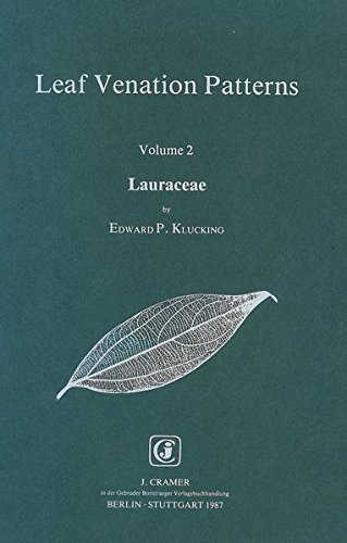 Leaf venation patterns. Volume 2 : Lauraceae