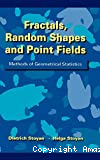 Fractals, random shapes and point fields. Methods of geometrical statistics