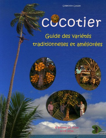 Cocotier : guide des variétés traditionnelles et améliorées