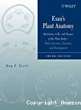 Esau's plant anatomy