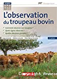 L'observation du troupeau bovin