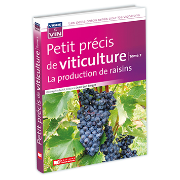 La production de raisins