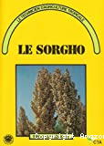 Le sorgho