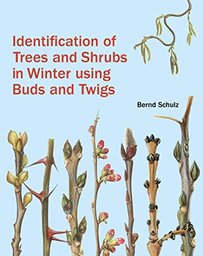 Identification of trees and shrubs in winter using buds and twigs