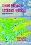 Spatial patterns in catchment hydrology