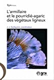 L' armillaire et le pourridié-agaric des végétaux ligneux