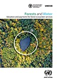 Forests and Water