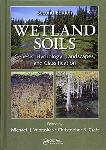 Wetland soils